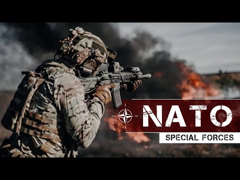 NATO Special Forces || ALPHA Warriors