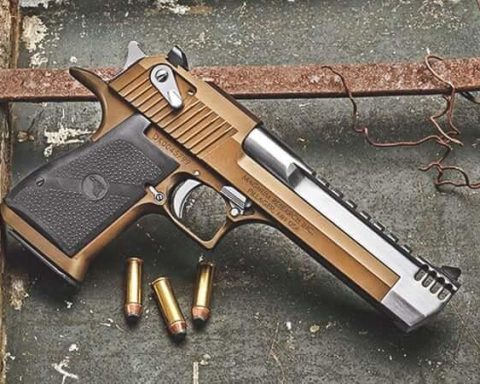 IMI Desert Eagle pistol