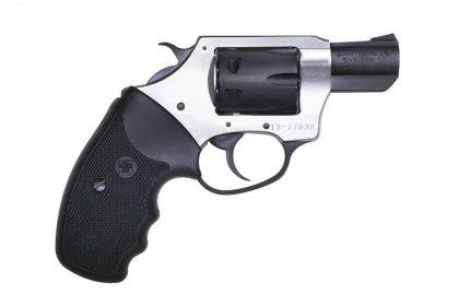 Charter Arms Pathfinder 22 Long Rifle revolver