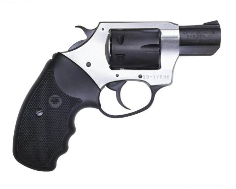 Charter Arms Pathfinder 22 Long Rifle revolver