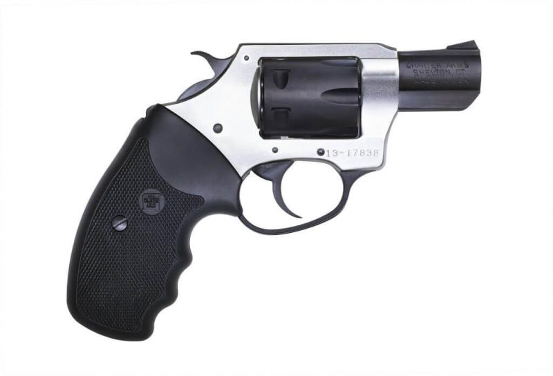 Charter Arms Pathfinder 22 Long Rifle revolver