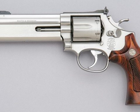 Smith & Wesson Model 686 Distinguished Combat Magnum