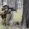 Why does Australia use the Steyr AUG instead of the M4?