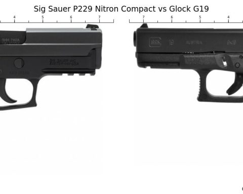 Which one is better: Glock 19 vs SIG P229?