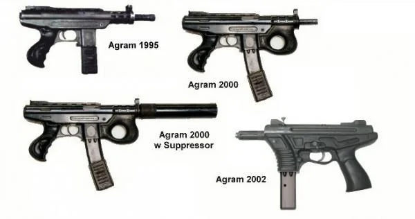 Variants of AGRAM 2000 through time