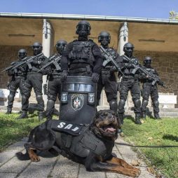 SAJ Operators with K9 Rottweiler Dog