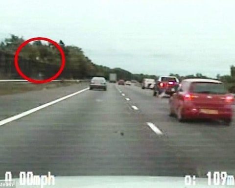 West Midlands Police say the dash-cam footage of the dramatic moment a drug dealer throws £200,000 of heroin from his car is the force's pursuit of the year. The 12-mile chase happened along the M6